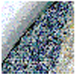 Logicom QScal 1.53b03