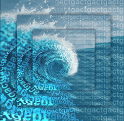 SoftGenetics NextGENe 2.4.3