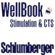 Schlumberger Wellbook