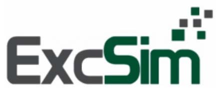 ExcSim