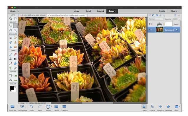 Adobe Photoshop Elements