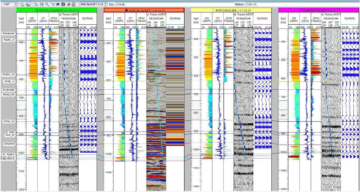 SubSurface AI 2024.1